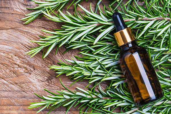 aromatherapy 101: what are essential oils? blog post