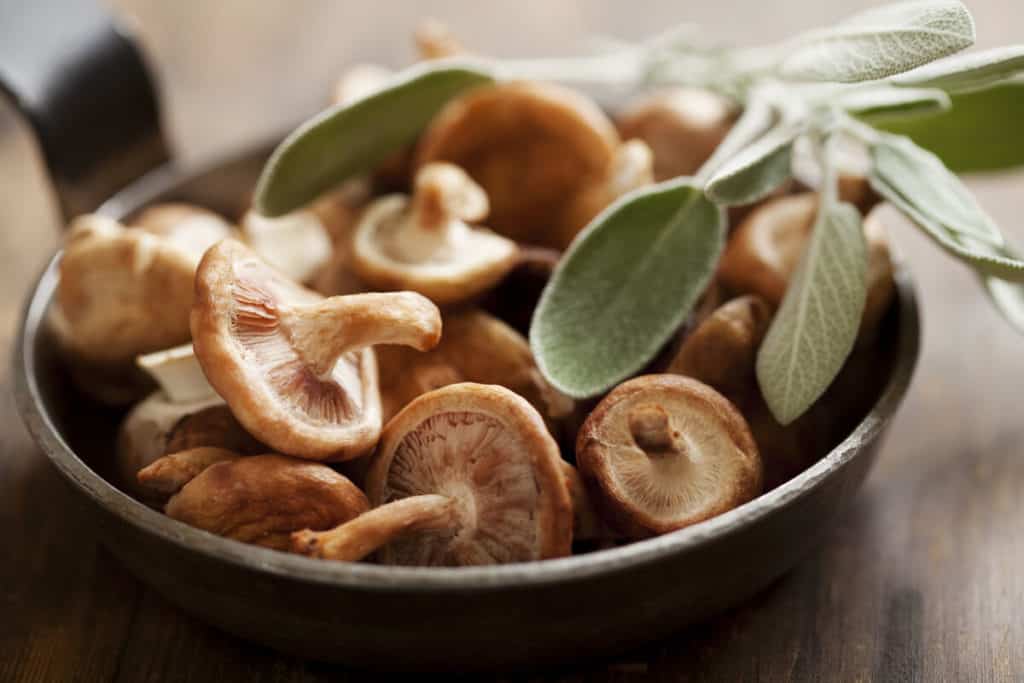 Bowl of mushrooms