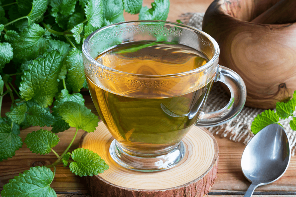 cup of lemon balm tea