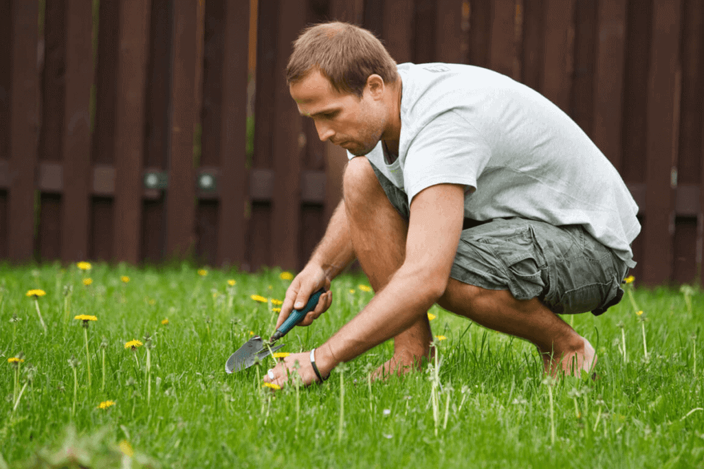 man in yard taking out all the weeds