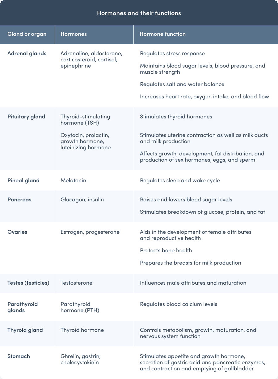 Hormones and their functions