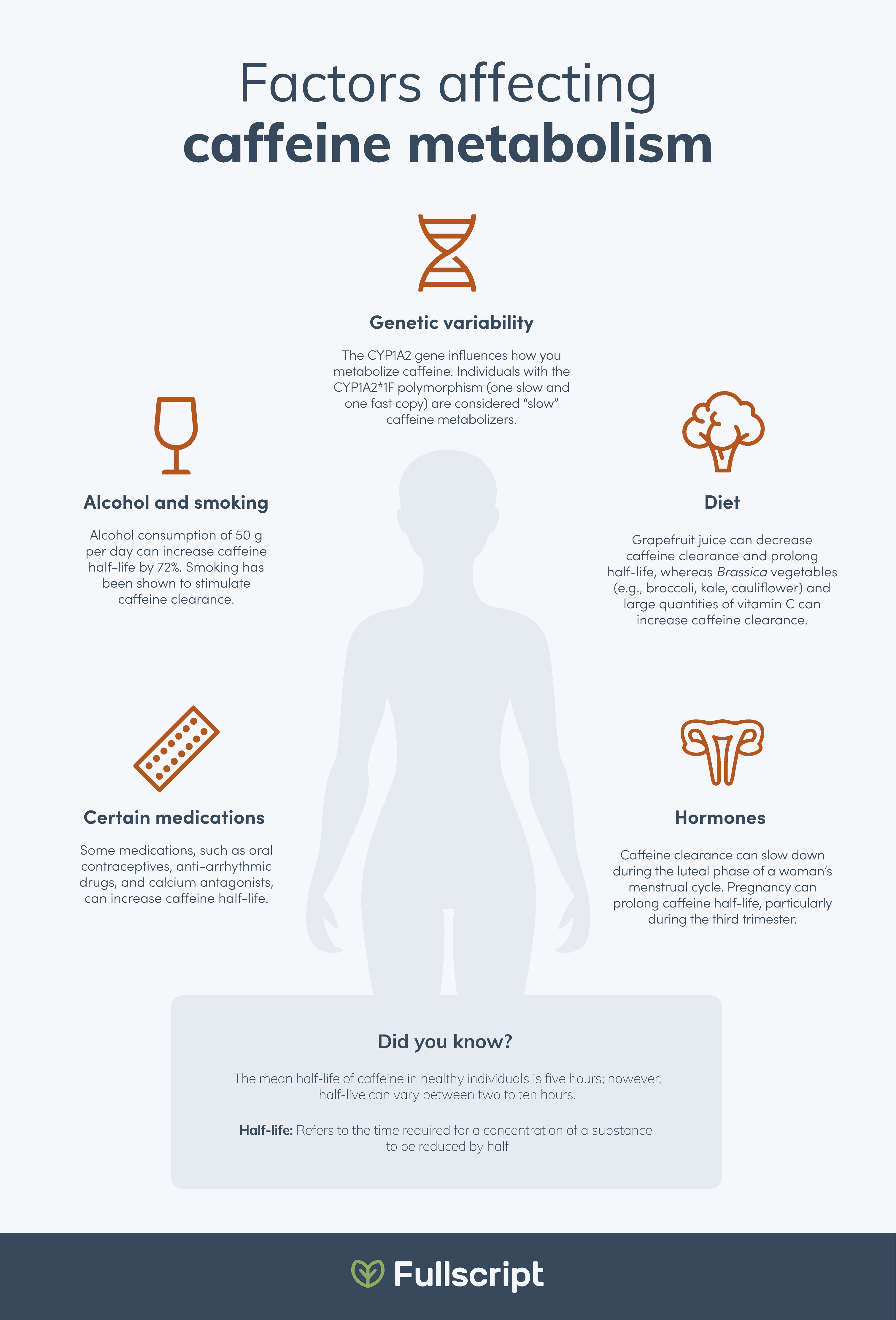 Sources of caffeine factor affecting-caffeine metabolism infographic