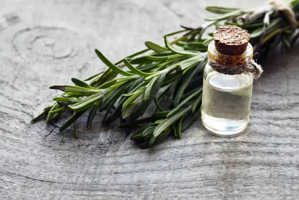 practitioner software herbs and liquid vitamin resting on table